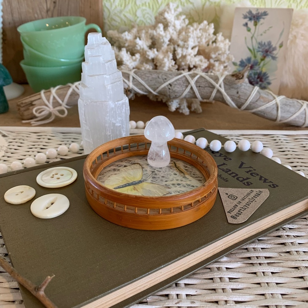Vintage Butterfly Coaster 🦋 Unique Home Decor / Gift / Retro / Nature / Table - Picture 5 of 7